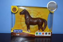 Load image into Gallery viewer, Teak-New in Box-Standing Thoroughbred Mold-Breyer Classic