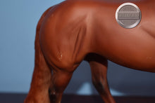 Load image into Gallery viewer, Red Chestnut Western Pleasure Horse-WPH Mold-Peter Stone