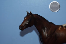 Load image into Gallery viewer, Breezing Dixie EARLY MODEL-Grey Feet-Lady Phase Mold-Breyer Traditional