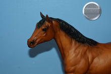 Load image into Gallery viewer, Bay Stock Horse Stallion-Stock Horse Stallion Mold-Breyer Traditional