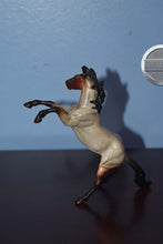 Load image into Gallery viewer, Matte Barbados-Rearing Horse-Chip Scale-Peter Stone