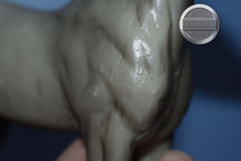 Load image into Gallery viewer, Vintage Grey Appaloosa Foal-Standing Stock Foal Mold-Breyer Traditional