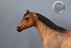 DZ Weedo-Stock Horse Stallion-Breyer Traditional