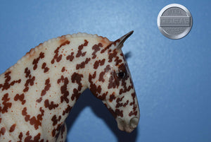 Matte Leopard Appaloosa Rotating Draft Surprise-Breyerfest Exclusive-Cleveland Bey Mold-Breyer Traditional