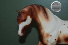 Load image into Gallery viewer, Appaloosa Champion-Foundation Stallion Mold-Breyer Traditional