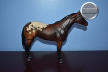 Load image into Gallery viewer, Breezing Dixie EARLY MODEL-Grey Feet-Lady Phase Mold-Breyer Traditional