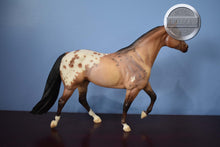 Load image into Gallery viewer, DZ Weedo-Stock Horse Stallion-Breyer Traditional