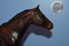 Load image into Gallery viewer, Breezing Dixie EARLY MODEL-Grey Feet-Lady Phase Mold-Breyer Traditional