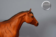 Load image into Gallery viewer, Bay Stock Horse Stallion-Stock Horse Stallion Mold-Breyer Traditional