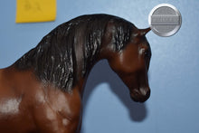 Load image into Gallery viewer, JCP Wild Horses of America #2-Appaloosa ONLY-Foundation Stallion Mold-Breyer Traditional