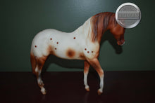 Load image into Gallery viewer, Appaloosa Champion-Foundation Stallion Mold-Breyer Traditional