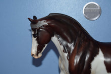 Load image into Gallery viewer, Troubador-Premier Club Exclusive-Trotting Morgan Mold-Breyer Traditional