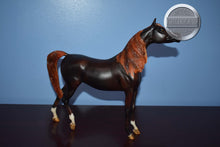 Load image into Gallery viewer, Zafirah-Premier Club Exclusive-Show Stance Arabian Mold-Breyer Traditional