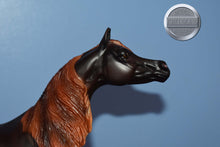Load image into Gallery viewer, Zafirah-Premier Club Exclusive-Show Stance Arabian Mold-Breyer Traditional