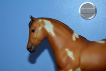 Load image into Gallery viewer, Precipitado Sin Par-El Pastor Mold-Breyer Traditional