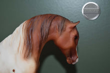 Load image into Gallery viewer, Appaloosa Champion-Foundation Stallion Mold-Breyer Traditional