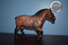 Load image into Gallery viewer, Simba du Pont de Tourney-Breyerfest Exclusive-Roy the Belgian Mold-Breyer Traditional