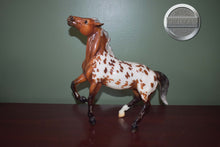 Load image into Gallery viewer, Darjeeling-Breyerfest Exclusive-Semi Rearing Mustang Mold-Breyer Traditional