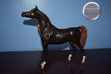 Load image into Gallery viewer, Zafirah-Premier Club Exclusive-Show Stance Arabian Mold-Breyer Traditional