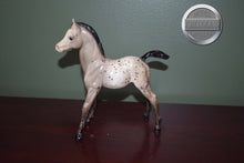 Load image into Gallery viewer, Spot-Appaloosa Family Arabian Foal Mold-Breyer Traditional