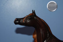 Load image into Gallery viewer, Zafirah-Premier Club Exclusive-Show Stance Arabian Mold-Breyer Traditional