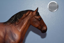 Load image into Gallery viewer, Simba du Pont de Tourney-Breyerfest Exclusive-Roy the Belgian Mold-Breyer Traditional