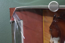 Load image into Gallery viewer, Chestnut Pinto 70th Anniversary Mustang-Glossy New in Box-Fighting Stallion Mold-Breyer Traditional