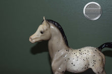 Load image into Gallery viewer, Spot-Appaloosa Family Arabian Foal Mold-Breyer Traditional