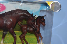 Load image into Gallery viewer, Chestnut Arabian Stallion and Foal-Yellow Box-New in Box-Breyer Classic