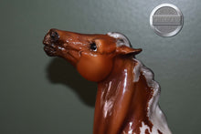 Load image into Gallery viewer, Darjeeling-Breyerfest Exclusive-Semi Rearing Mustang Mold-Breyer Traditional