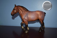 Load image into Gallery viewer, Simba du Pont de Tourney-Breyerfest Exclusive-Roy the Belgian Mold-Breyer Traditional