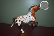 Load image into Gallery viewer, Darjeeling-Breyerfest Exclusive-Semi Rearing Mustang Mold-Breyer Traditional