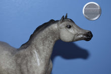 Load image into Gallery viewer, Dapple Grey Arabian-Show Stance Arabian-Breyer Classic