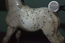 Load image into Gallery viewer, Spot-Appaloosa Family Arabian Foal Mold-Breyer Traditional