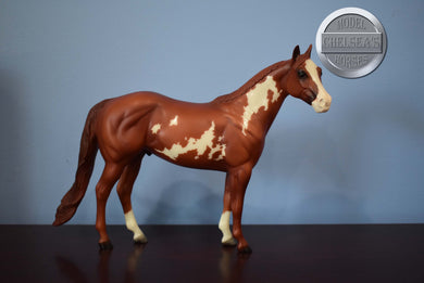 Ratchett-Ideal Stock Horse (ISH)-Peter Stone