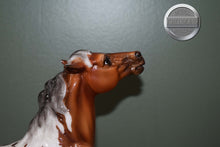 Load image into Gallery viewer, Darjeeling-Breyerfest Exclusive-Semi Rearing Mustang Mold-Breyer Traditional