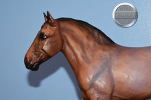 Load image into Gallery viewer, Simba du Pont de Tourney-Breyerfest Exclusive-Roy the Belgian Mold-Breyer Traditional