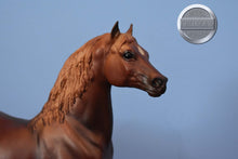 Load image into Gallery viewer, Liver Chestnut Morgan-Stretch Morgan Mold-Breyer Traditional