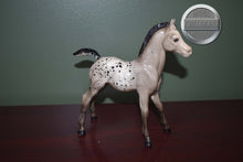 Load image into Gallery viewer, Spot-Appaloosa Family Arabian Foal Mold-Breyer Traditional