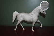 Load image into Gallery viewer, Princess of Arabia-HORSE ONLY-Black Stallion Mold-Breyer Traditional