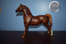 Load image into Gallery viewer, Liver Chestnut Morgan-Stretch Morgan Mold-Breyer Traditional