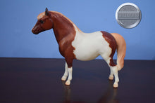 Load image into Gallery viewer, Best of British Pony-Shetland Pony Mold-Breyer Traditional