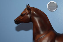Load image into Gallery viewer, Liver Chestnut Morgan-Stretch Morgan Mold-Breyer Traditional
