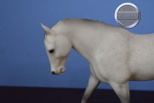Load image into Gallery viewer, HTF Fleabitten Grey Red Ribbons &quot;Small World&quot; Exclusive-Cantering Welsh Pony Mold-Breyer Traditional