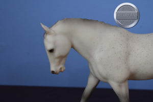 HTF Fleabitten Grey Red Ribbons "Small World" Exclusive-Cantering Welsh Pony Mold-Breyer Traditional