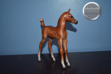 Load image into Gallery viewer, The Mob-2024 AoTH Exclusive-LE 5-Matte-Customized Arabian Foal-Peter Stone