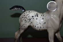 Load image into Gallery viewer, Spot-Appaloosa Family Arabian Foal Mold-Breyer Traditional