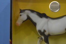 Load image into Gallery viewer, Domino-New in Box-Damaged Box-San Domingo Mold-Breyer Traditional