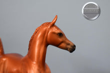 Load image into Gallery viewer, The Mob-2024 AoTH Exclusive-LE 5-Matte-Customized Arabian Foal-Peter Stone