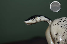 Load image into Gallery viewer, Spot-Appaloosa Family Arabian Foal Mold-Breyer Traditional